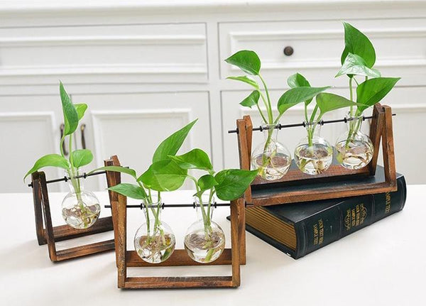 Flasky Hydroponics